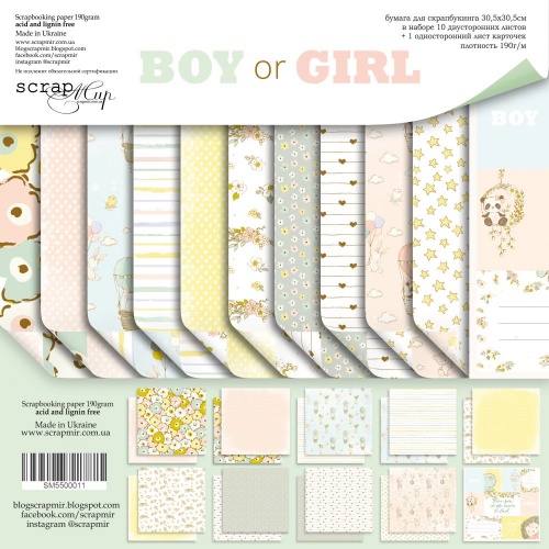 BOY OR GIRL - 12 x 12